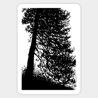 Pine tree Sticker